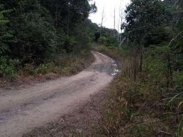 Terreno venda em Região Geográfica Imediata de Florianópolis, Alfredo Wagner