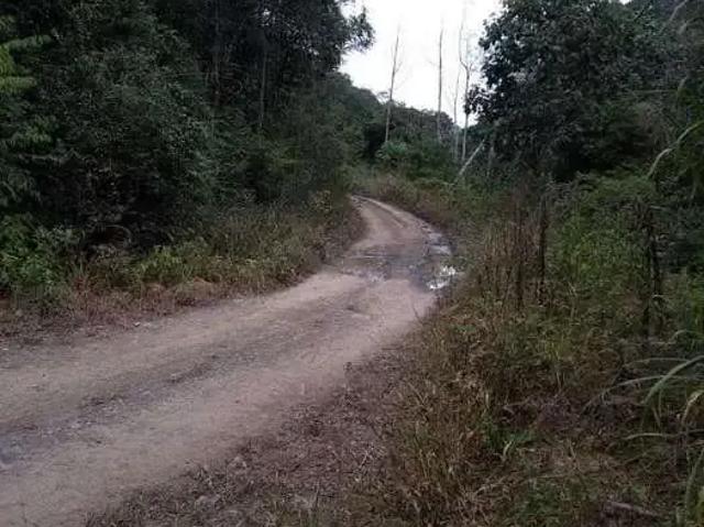 Terreno venda em Região Geográfica Imediata de Florianópolis, Alfredo Wagner