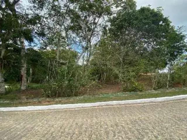 Terreno venda em Região Geográfica Imediata de Goiana-Timbaúba, Aliança