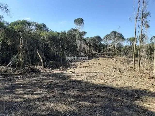 Terreno venda em Região Geográfica Imediata de Curitiba, Região Metropolitana de Curitiba