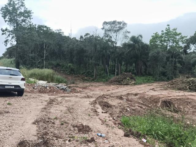 Terreno venda em Região Geográfica Imediata de Curitiba, Região Metropolitana de Curitiba