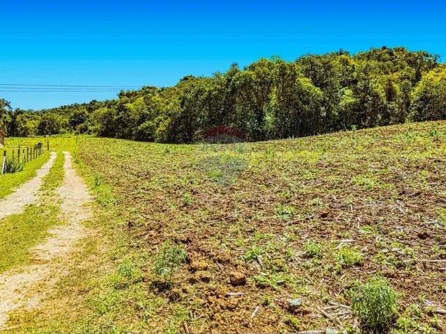 Terreno venda em Região Geográfica Imediata de Curitiba, Região Metropolitana de Curitiba