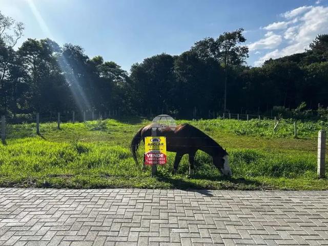 Terreno venda em Região Geográfica Imediata de Curitiba, Região Metropolitana de Curitiba