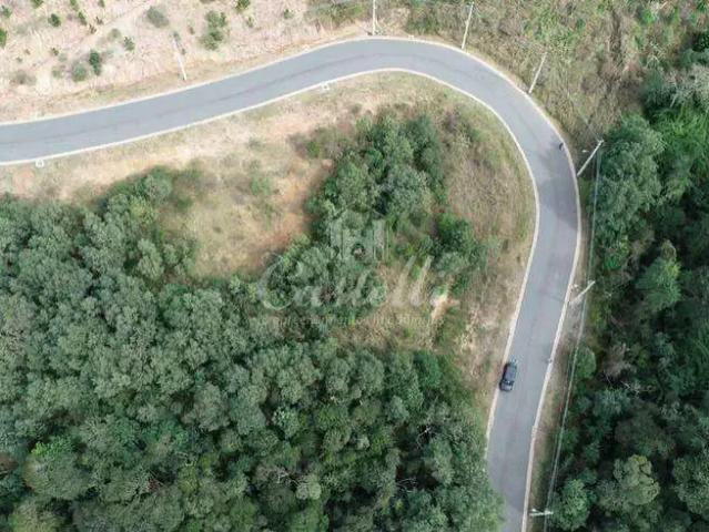 Terreno venda em Região Geográfica Imediata de Curitiba, Região Metropolitana de Curitiba