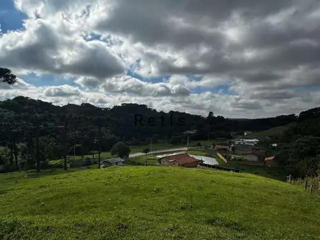 Terreno venda em Região Geográfica Imediata de Curitiba, Região Metropolitana de Curitiba