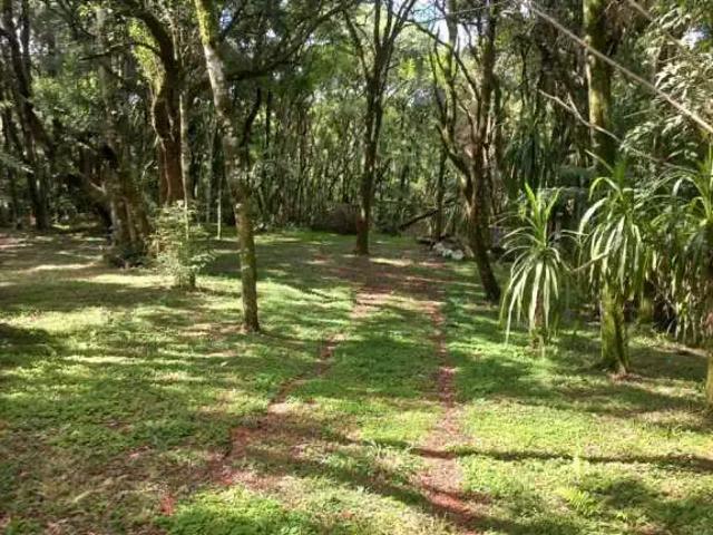 Terreno venda em Região Geográfica Imediata de Curitiba, Região Metropolitana de Curitiba