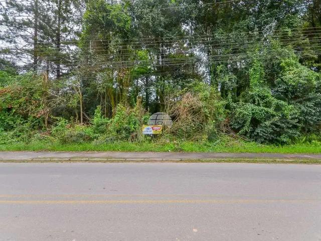 Terreno venda em Região Geográfica Imediata de Curitiba, Região Metropolitana de Curitiba
