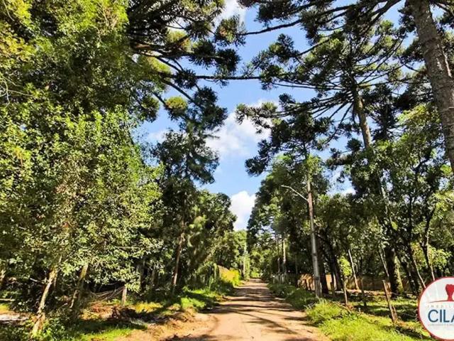 Terreno venda em Região Geográfica Imediata de Curitiba, Região Metropolitana de Curitiba