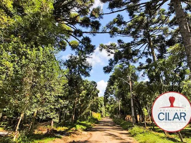 Terreno venda em Região Geográfica Imediata de Curitiba, Região Metropolitana de Curitiba