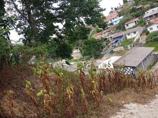 Terreno venda em Região Geográfica Imediata de Curitiba, Região Metropolitana de Curitiba