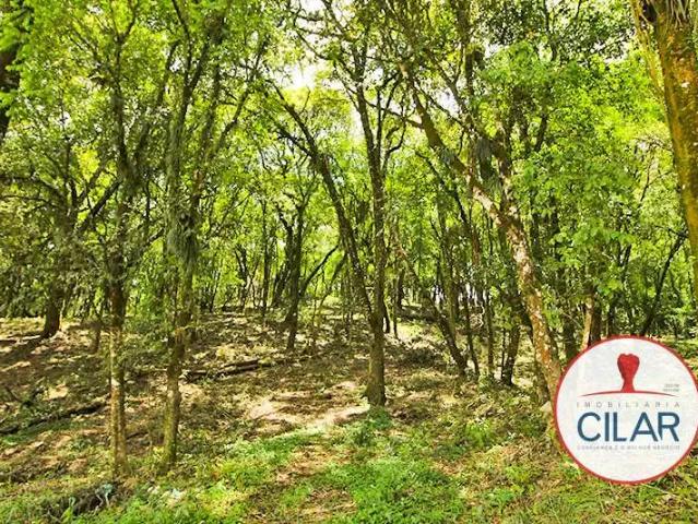 Terreno venda em Região Geográfica Imediata de Curitiba, Região Metropolitana de Curitiba