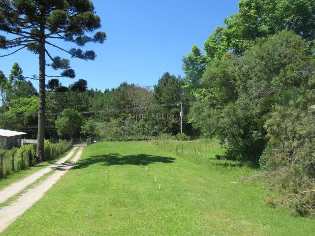 Terreno venda em Região Geográfica Imediata de Curitiba, Região Metropolitana de Curitiba
