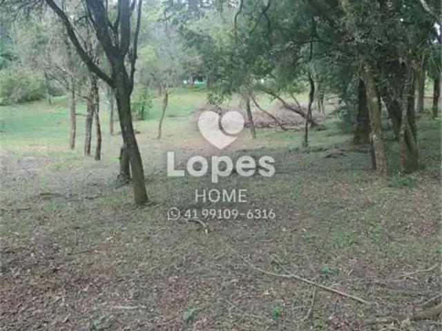 Terreno venda em Região Geográfica Imediata de Curitiba, Região Metropolitana de Curitiba