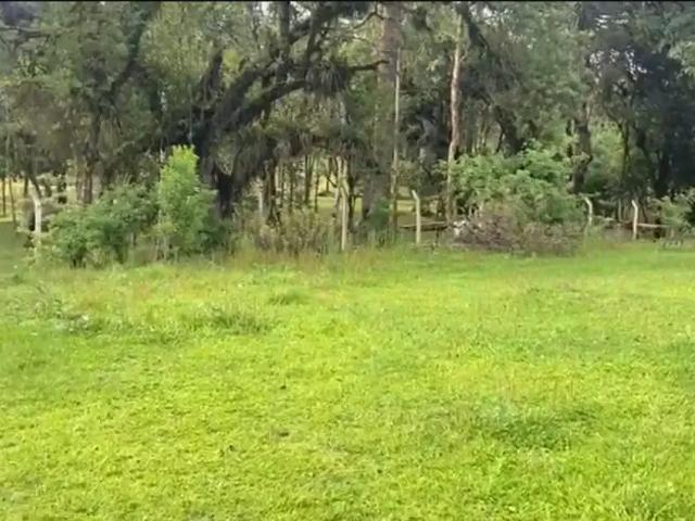 Terreno venda em Região Geográfica Imediata de Curitiba, Região Metropolitana de Curitiba