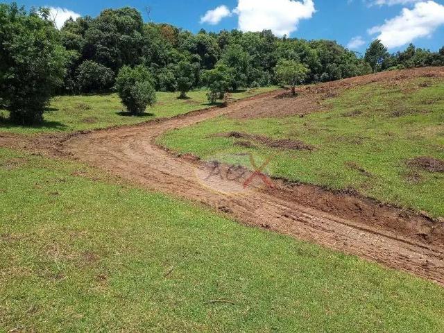 Terreno venda em Região Geográfica Imediata de Curitiba, Região Metropolitana de Curitiba