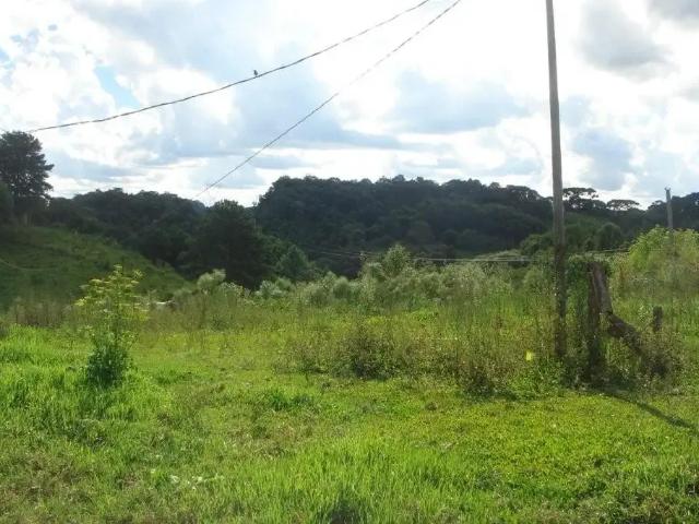 Terreno venda em Região Geográfica Imediata de Curitiba, Região Metropolitana de Curitiba
