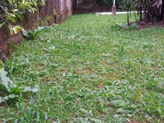 Terreno venda em Região Geográfica Imediata de Curitiba, Região Metropolitana de Curitiba