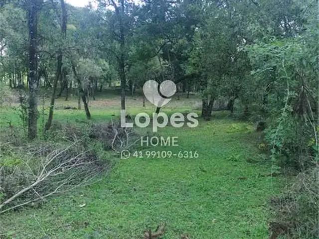 Terreno venda em Região Geográfica Imediata de Curitiba, Região Metropolitana de Curitiba