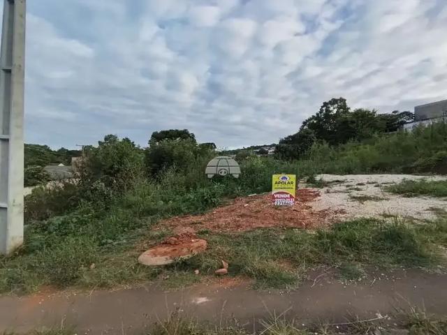 Terreno venda em Região Geográfica Imediata de Curitiba, Região Metropolitana de Curitiba