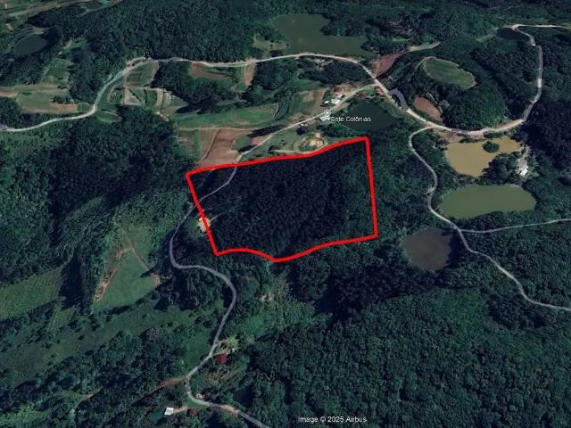 Terreno venda em Região Geográfica Imediata de Caxias do Sul, Alto Feliz