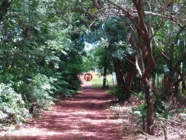 Terreno venda em Região Geográfica Imediata de Londrina, Alvorada do Sul