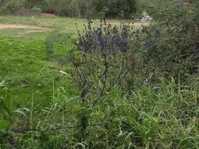 Terreno venda em Região Geográfica Imediata de Porto Alegre, Região Metropolitana de Porto Alegre