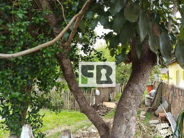 Terreno venda em Região Geográfica Imediata de Porto Alegre, Região Metropolitana de Porto Alegre