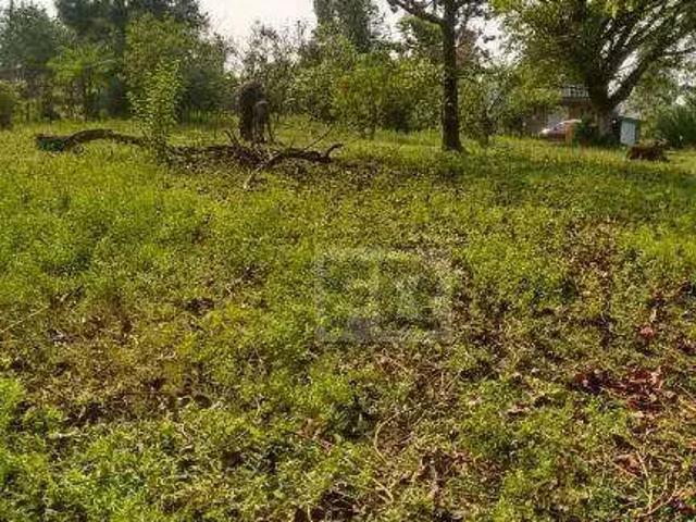 Terreno venda em Região Geográfica Imediata de Porto Alegre, Região Metropolitana de Porto Alegre