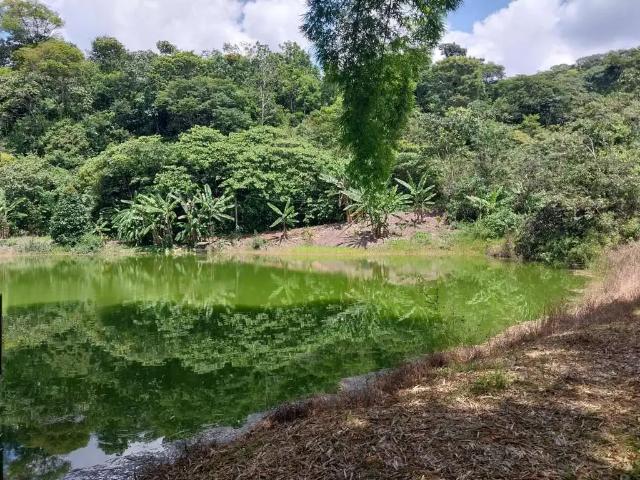 Terreno venda em Amaraji, Região Nordeste