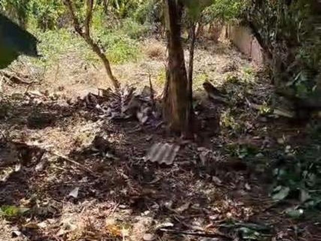 Terreno venda em Amargosa