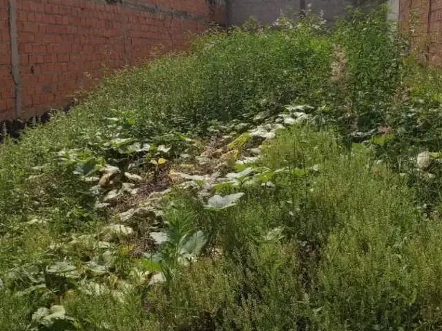 Terreno venda em Região Imediata de Campinas, Região Metropolitana de Campinas