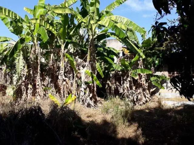 Terreno venda em Região Imediata de Campinas, Região Metropolitana de Campinas