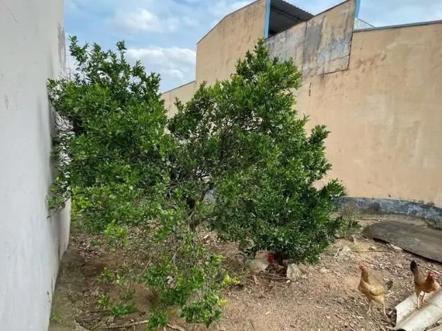 Terreno venda em Região Imediata de Campinas, Região Metropolitana de Campinas