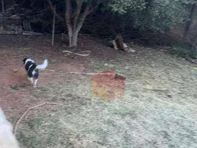 Terreno venda em Região Imediata de Campinas, Região Metropolitana de Campinas