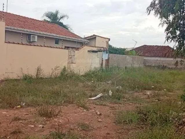 Terreno venda em Jardim Américo, Américo Brasiliense