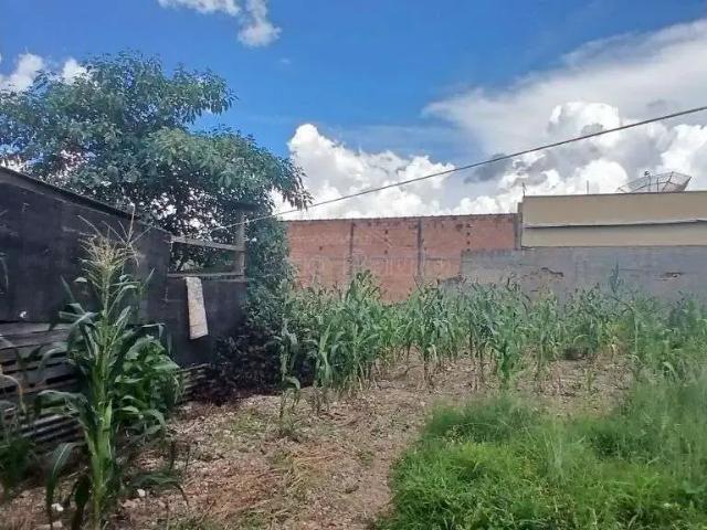Terreno venda em Jardim Américo, Américo Brasiliense