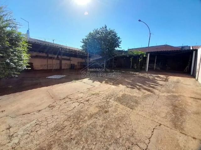 Terreno venda em Nova Vila Cerqueira, Américo Brasiliense