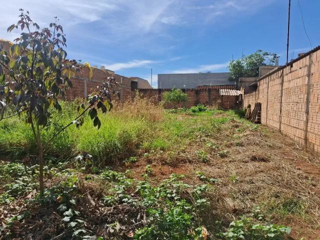 Terreno venda em Região Imediata de Araraquara, Américo Brasiliense