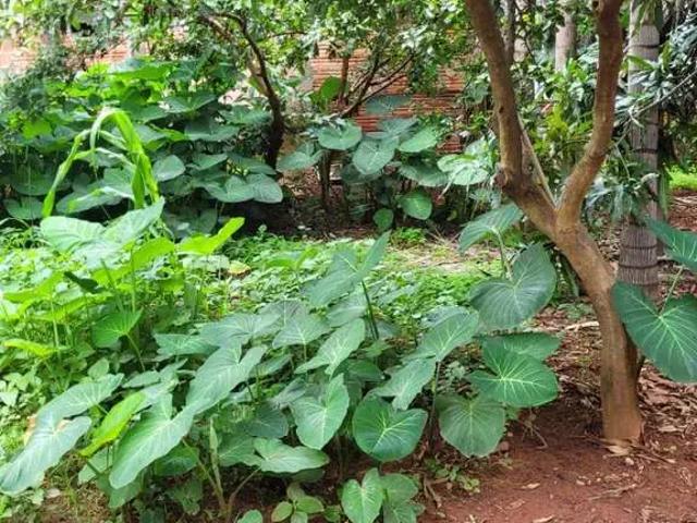 Terreno venda em Região Geográfica Imediata de Anápolis, Anápolis
