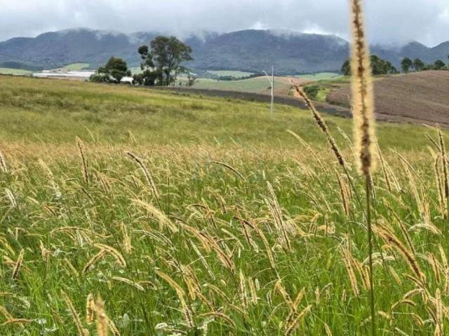 Terreno venda em Andradas, Região Geográfica Intermediária de Pouso Alegre