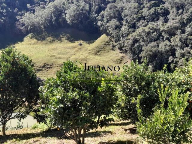 Terreno venda em Angelina, Região Geográfica Intermediária de Florianópolis