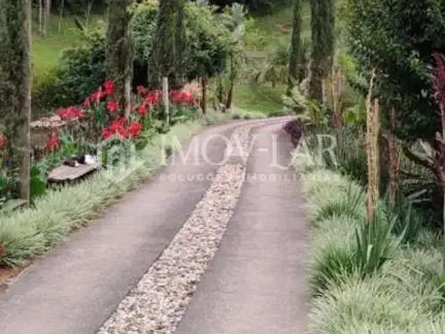 Terreno venda em Centro, Angelina