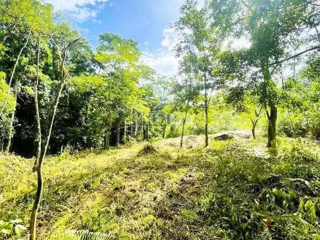 Terreno venda em Região Geográfica Imediata de Angra dos Reis, Angra dos Reis
