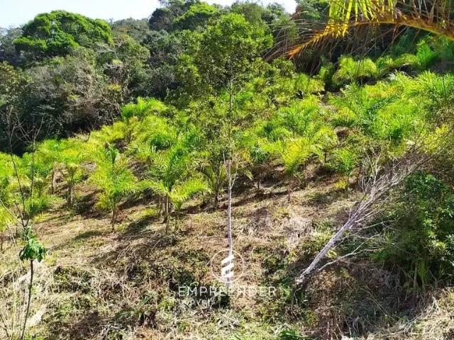 Terreno venda em Região Geográfica Imediata de Paranaguá, Antonina