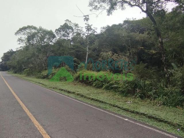 Terreno venda em Figueira do Braço, Antonina