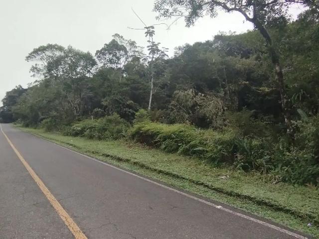 Terreno venda em Região Geográfica Imediata de Paranaguá, Antonina