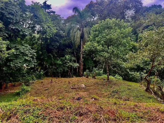 Terreno venda em Região Geográfica Imediata de Paranaguá, Antonina