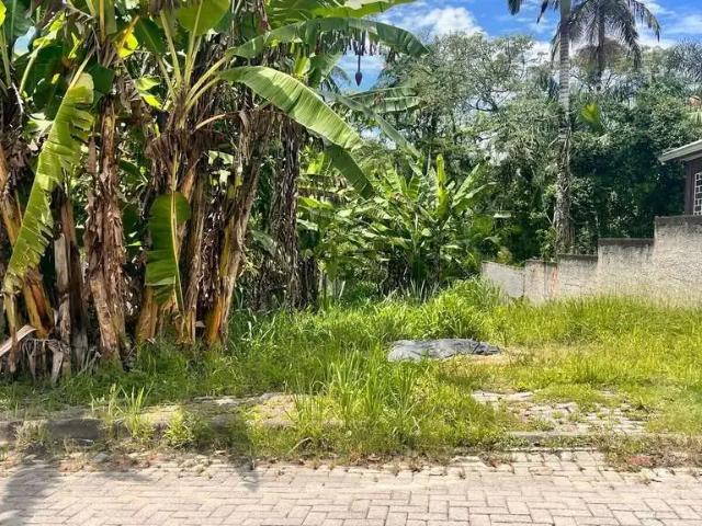 Terreno venda em Região Geográfica Imediata de Paranaguá, Antonina