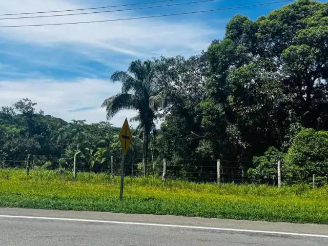 Terreno venda em Região Geográfica Imediata de Paranaguá, Antonina