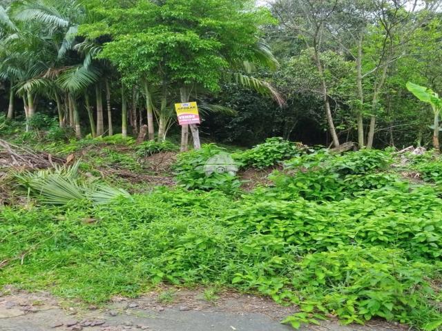 Terreno venda em Penha, Antonina